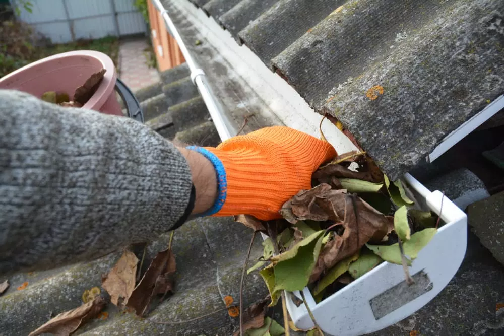 removing leaves from gutter