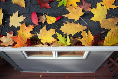 fall leaves on roof and in gutter