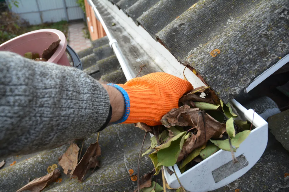 cleaning leaves from gutter